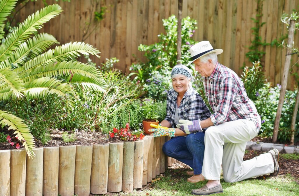 A senior couple tending their garden together.