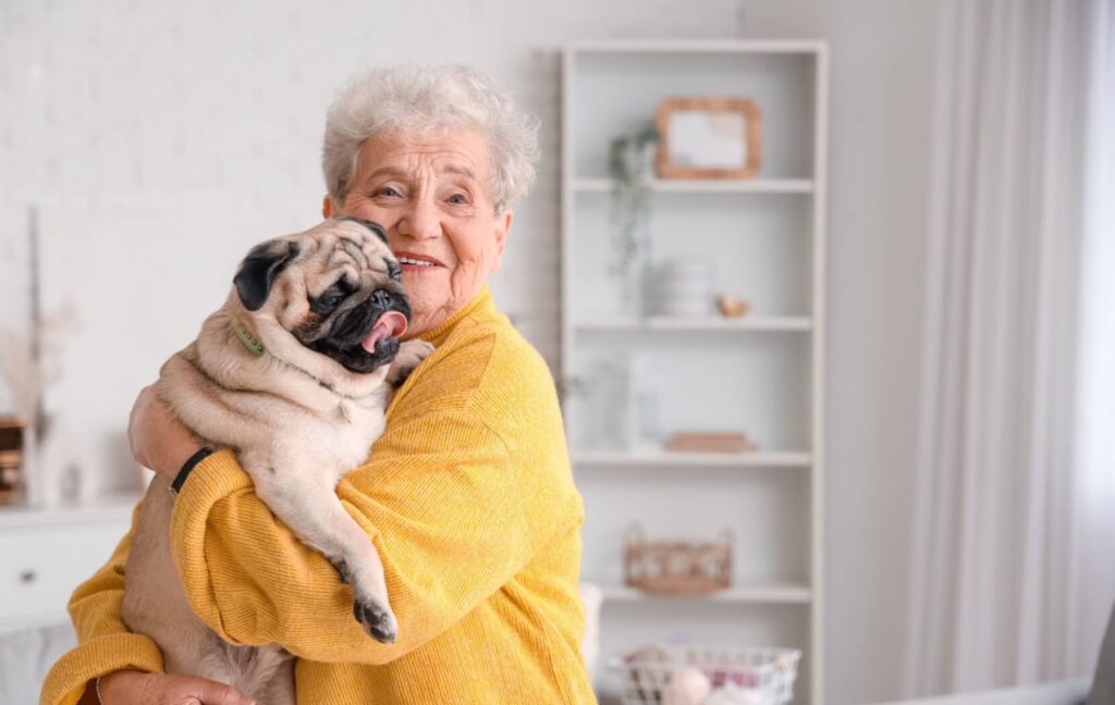 A senior wearing a yellow shirt holds a happy pug in their arms while they smile at the camera.