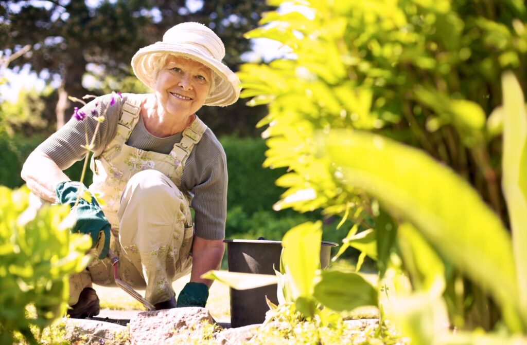 A senior enjoys gardening on a warm spring day